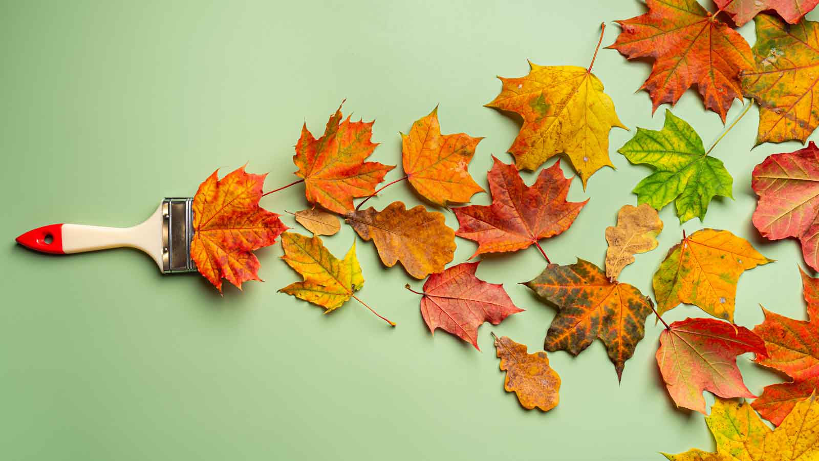 Paint brush painting out leaves instead of paint on a green background