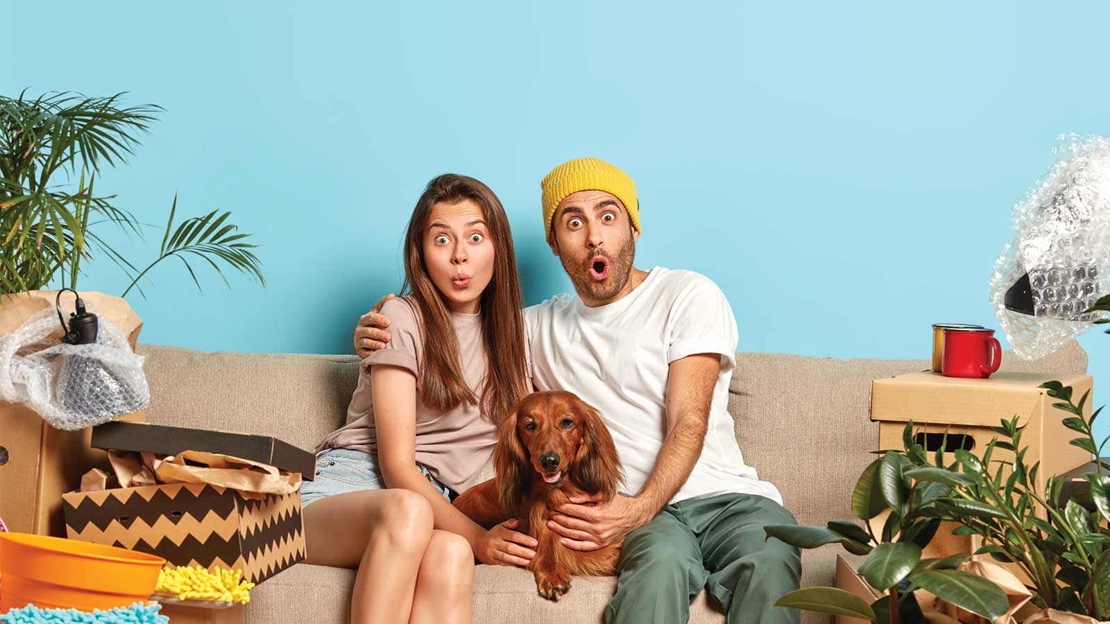 A fun-loving couple with their dog surrounded by moving boxes and a room painted in calming cool hues for summer. A perfect example of how Roarty Painting in Maple Ridge can help you transform your home with paint for any season.