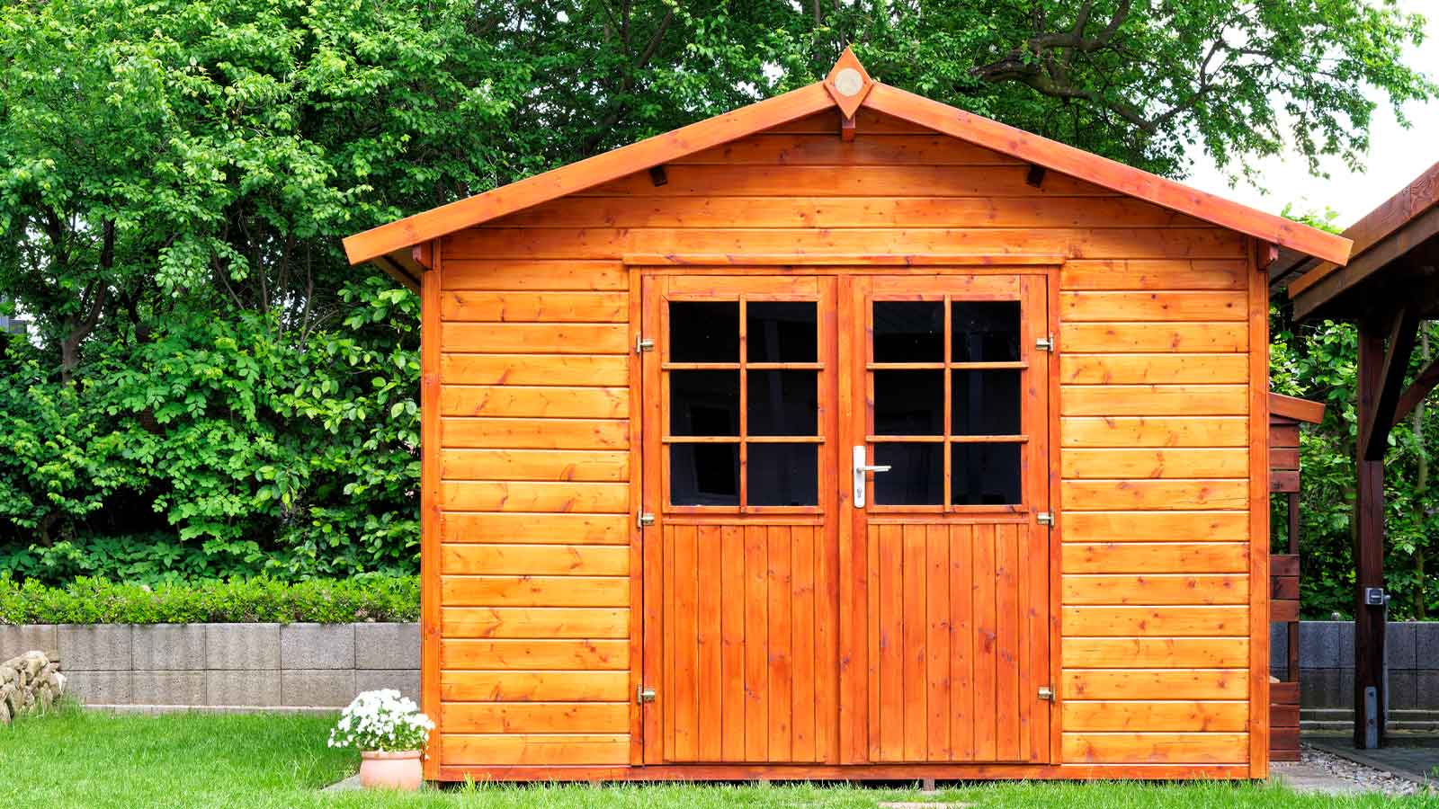 Stained shed with double doors in a well trimmed backyard